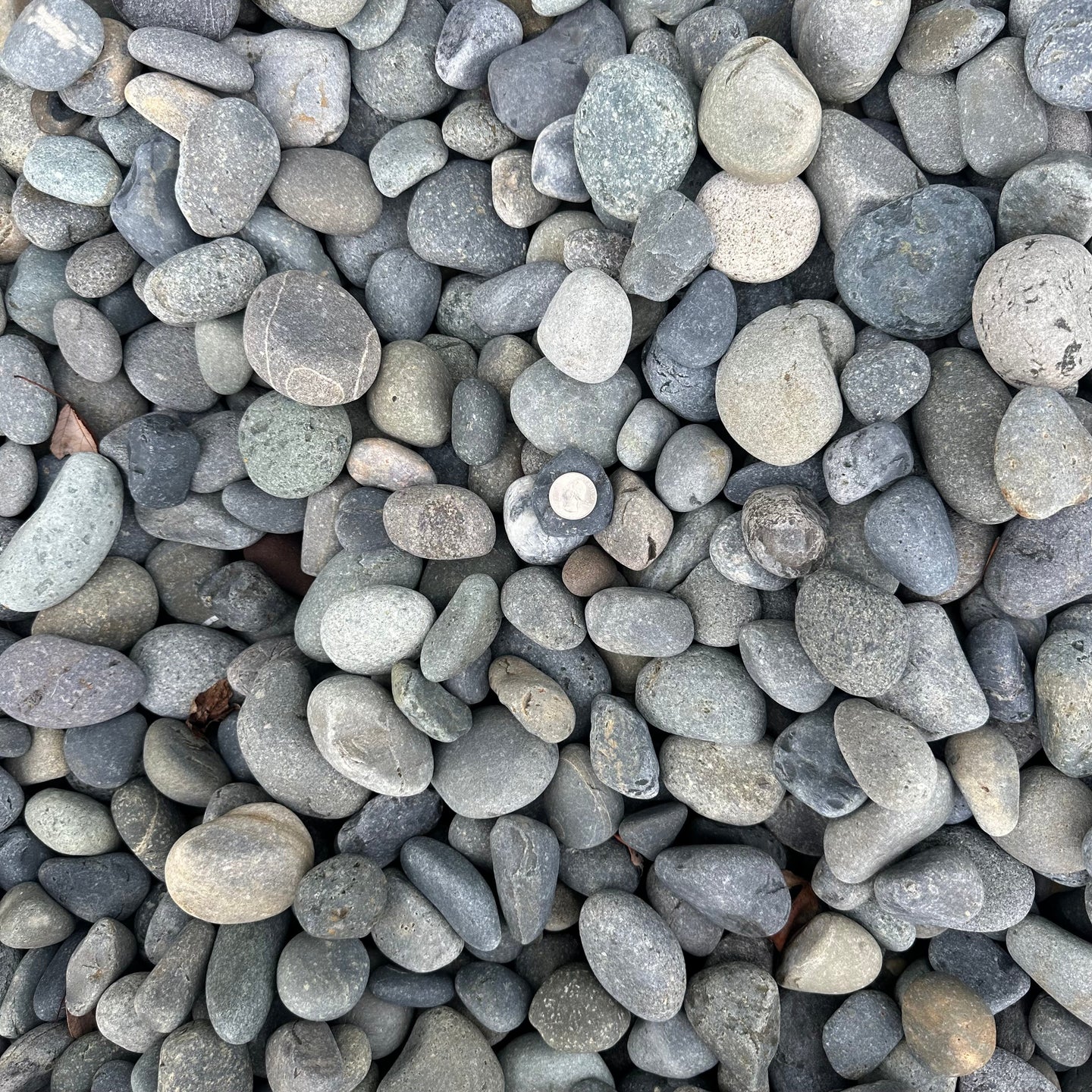 Mexican Beach Pebbles 1" - 3"